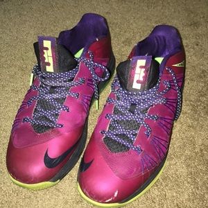 Lebron 10 Lows (Basketball Shoes)